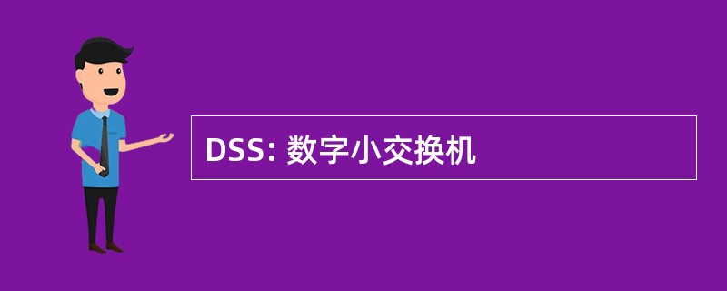 DSS: 数字小交换机