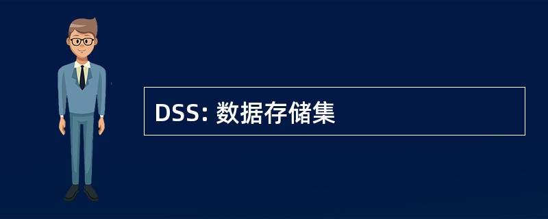 DSS: 数据存储集