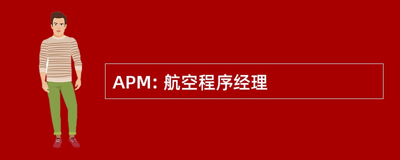 APM: 航空程序经理