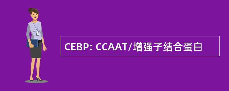 CEBP: CCAAT/增强子结合蛋白