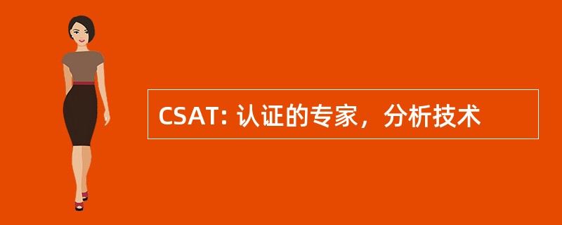 CSAT: 认证的专家，分析技术