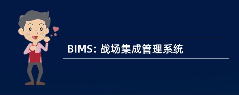 BIMS: 战场集成管理系统