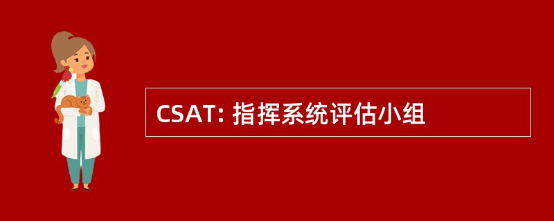 CSAT: 指挥系统评估小组