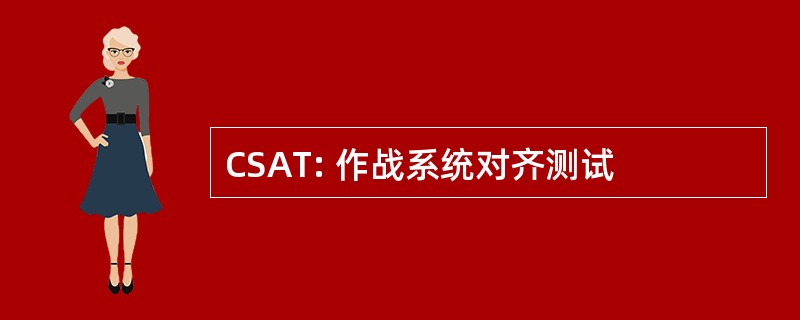 CSAT: 作战系统对齐测试