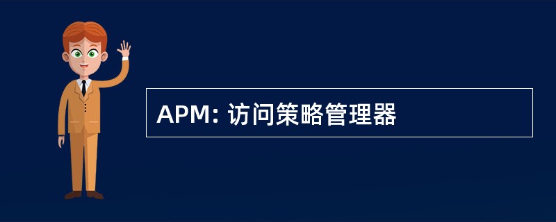 APM: 访问策略管理器