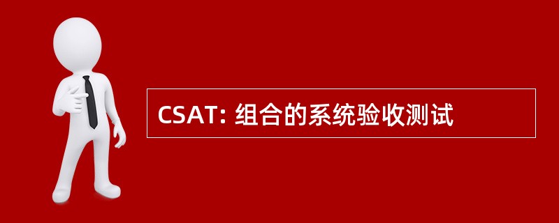 CSAT: 组合的系统验收测试