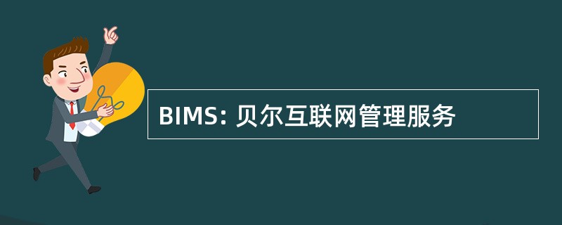 BIMS: 贝尔互联网管理服务