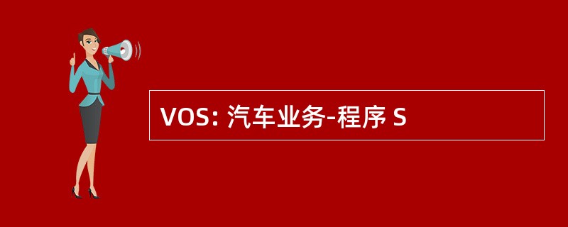 VOS: 汽车业务-程序 S