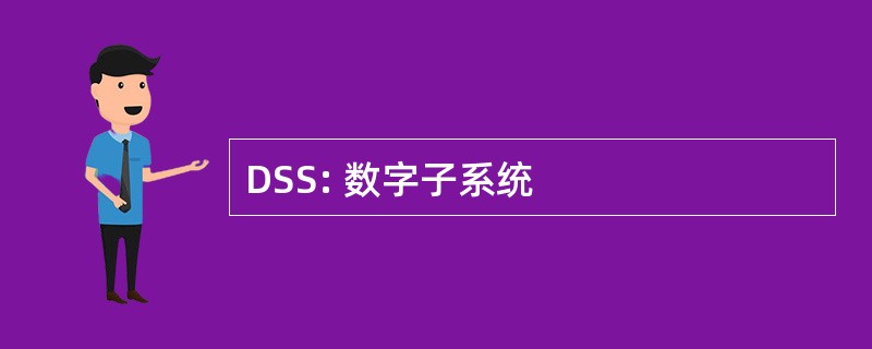 DSS: 数字子系统