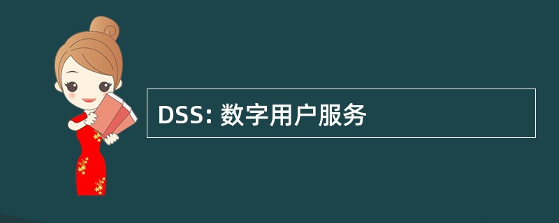 DSS: 数字用户服务