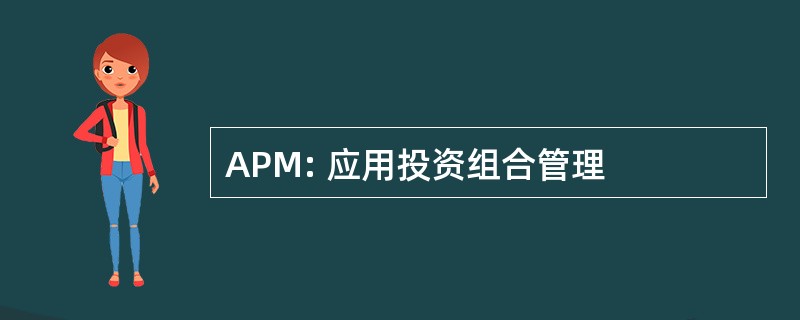 APM: 应用投资组合管理