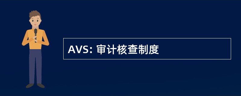 AVS: 审计核查制度