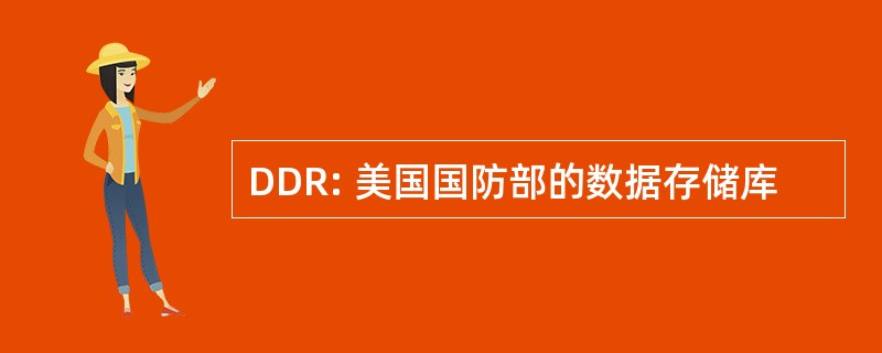 DDR: 美国国防部的数据存储库