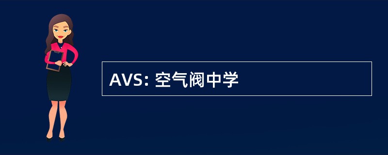 AVS: 空气阀中学