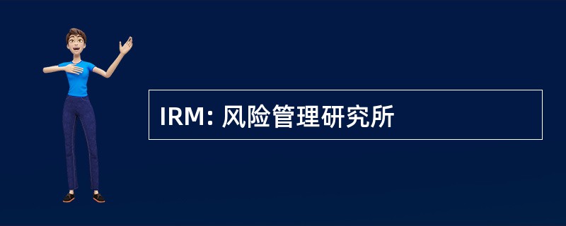 IRM: 风险管理研究所