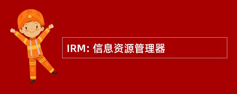 IRM: 信息资源管理器