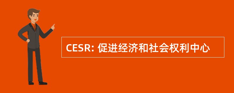 CESR: 促进经济和社会权利中心