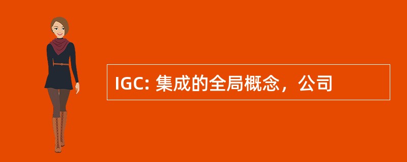 IGC: 集成的全局概念，公司