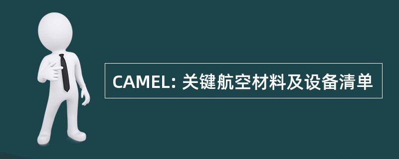 CAMEL: 关键航空材料及设备清单