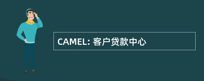 CAMEL: 客户贷款中心