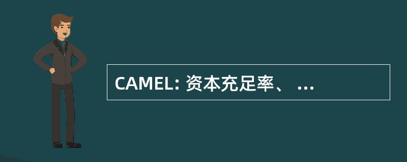 CAMEL: 资本充足率、 资产质量、 管理、 收益和流动性