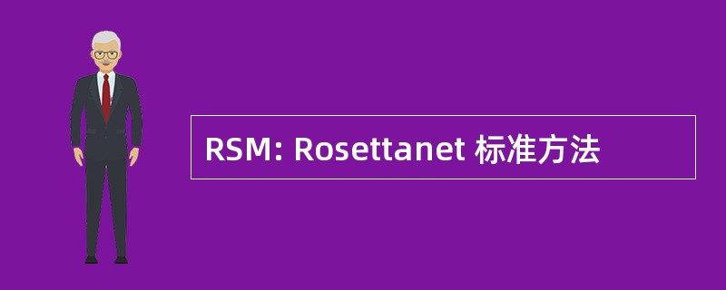 RSM: Rosettanet 标准方法