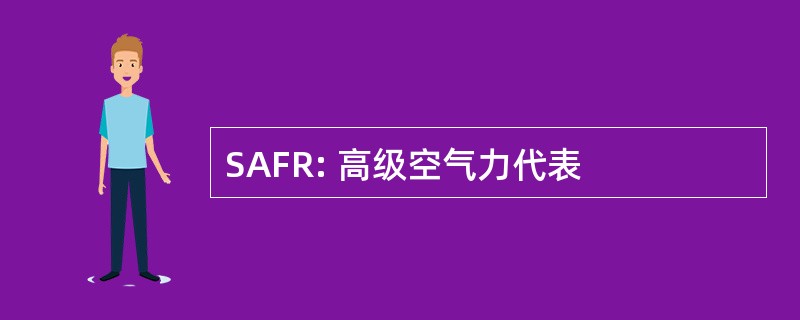 SAFR: 高级空气力代表