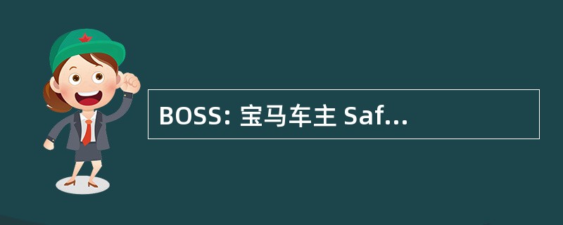 BOSS: 宝马车主 Saferiders 社会 (汽车俱乐部)