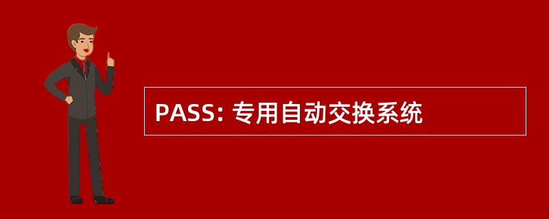 PASS: 专用自动交换系统