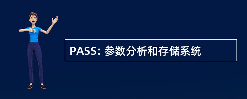 PASS: 参数分析和存储系统