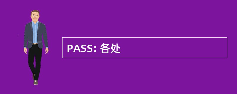 PASS: 各处