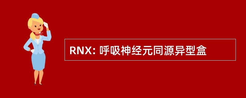 RNX: 呼吸神经元同源异型盒