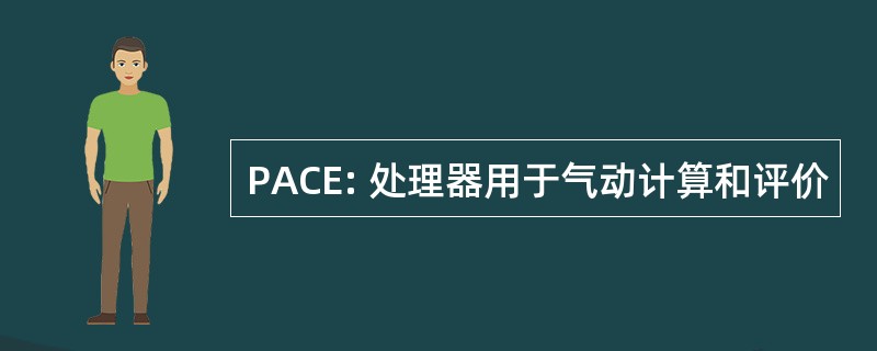 PACE: 处理器用于气动计算和评价