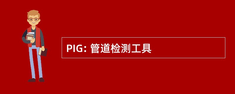 PIG: 管道检测工具