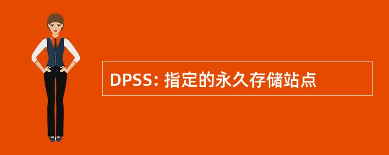 DPSS: 指定的永久存储站点