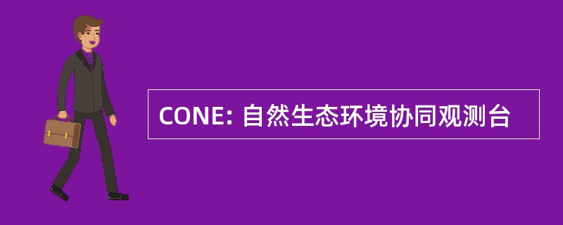 CONE: 自然生态环境协同观测台