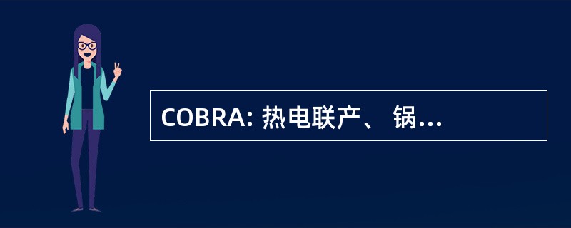 COBRA: 热电联产、 锅炉、 制冷专业人员