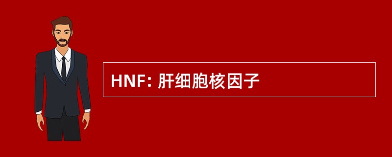 HNF: 肝细胞核因子