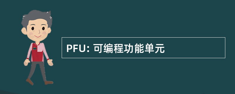 PFU: 可编程功能单元