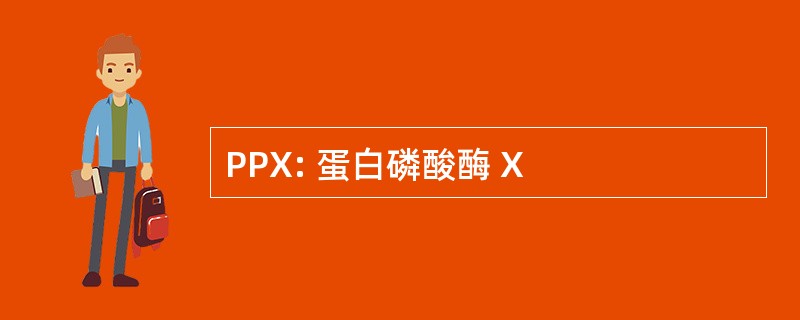 PPX: 蛋白磷酸酶 X