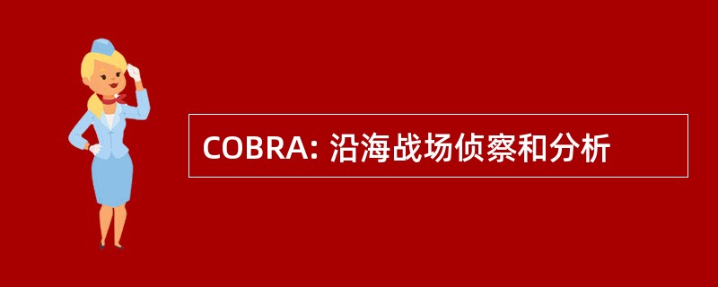 COBRA: 沿海战场侦察和分析