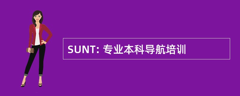 SUNT: 专业本科导航培训