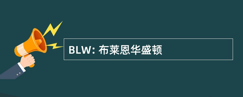 BLW: 布莱恩华盛顿