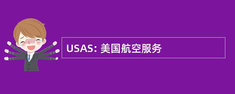 USAS: 美国航空服务