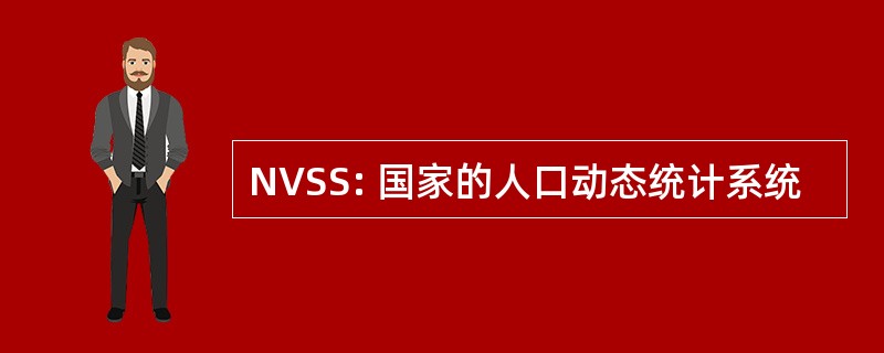 NVSS: 国家的人口动态统计系统