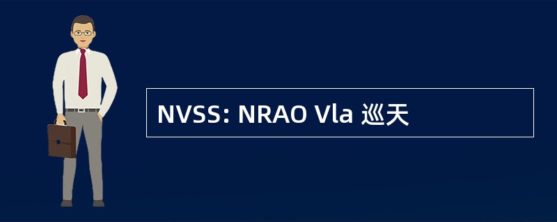 NVSS: NRAO Vla 巡天