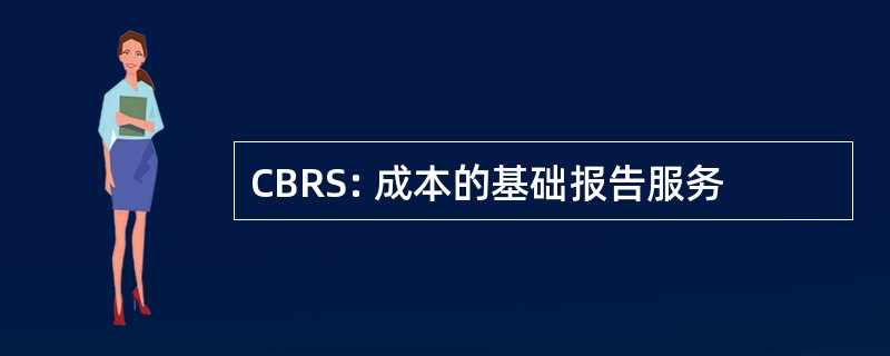 CBRS: 成本的基础报告服务