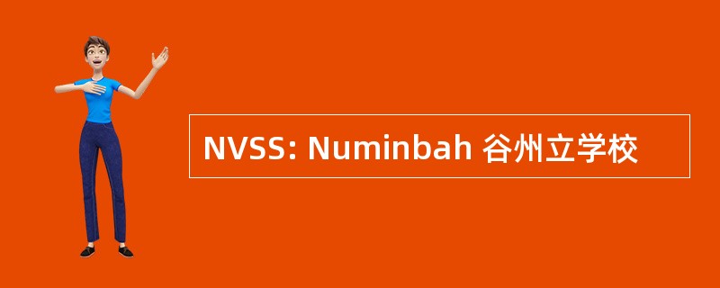 NVSS: Numinbah 谷州立学校