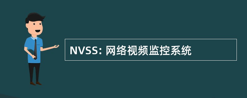 NVSS: 网络视频监控系统