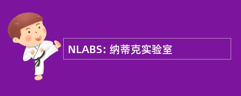 NLABS: 纳蒂克实验室